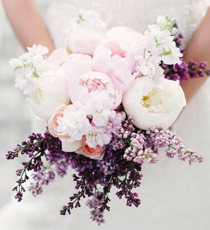 mirakel, flowers and flowerful