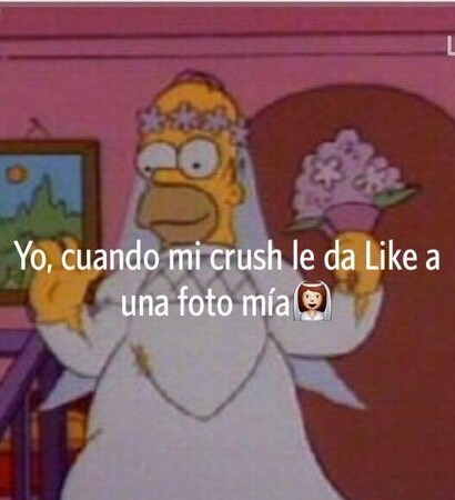 fun, crush and like