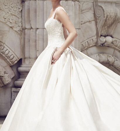 wedding dress and paloma blanca