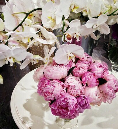 photography, flowers and white