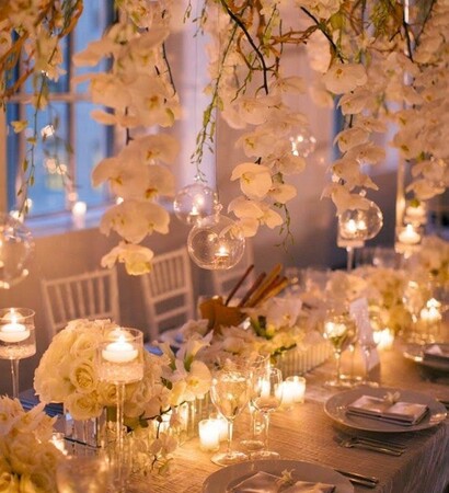 theme, lights and flowers