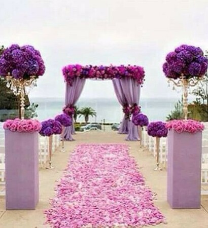 purple, pink and beach
