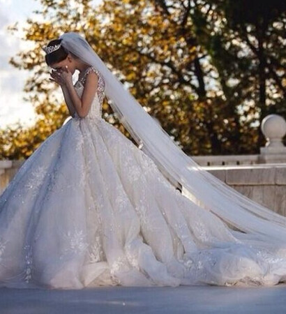 long veil, wedding dress and white