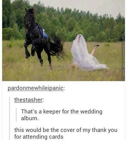 wedding picture and en