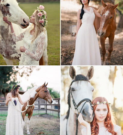 horse, idea and dress