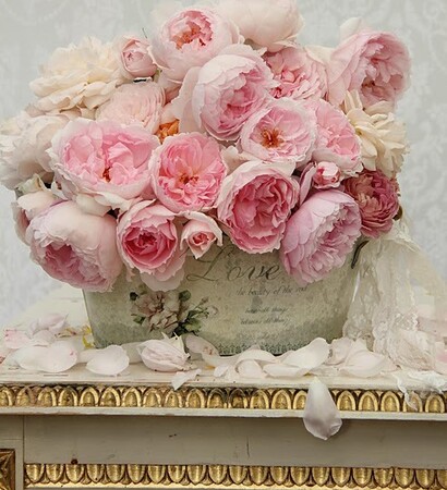 flowers and en