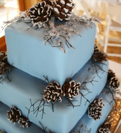 snow, pinecones and cake