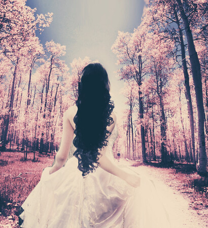 dress, wonderland and princess