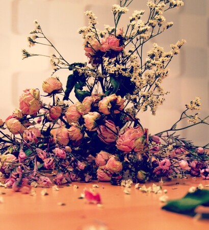flowers, beautiful and spring
