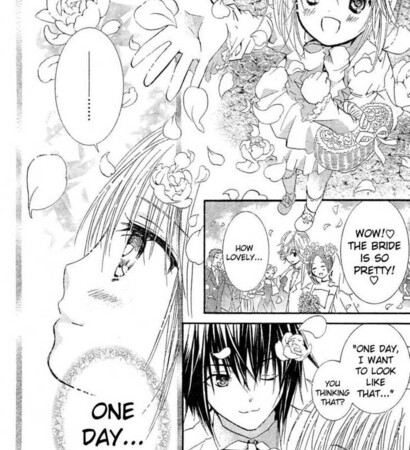 ikuto tsukiyomi, shugo chara and amu hinamori