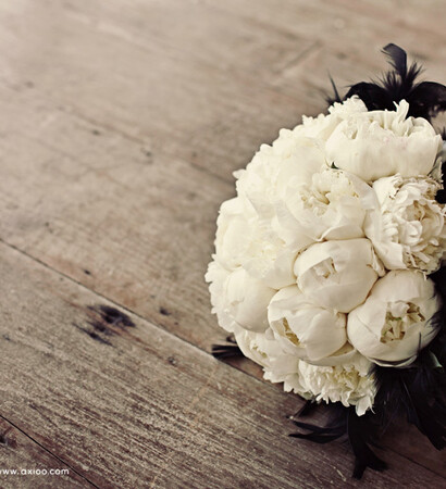 flowers, beautiful and white flowers