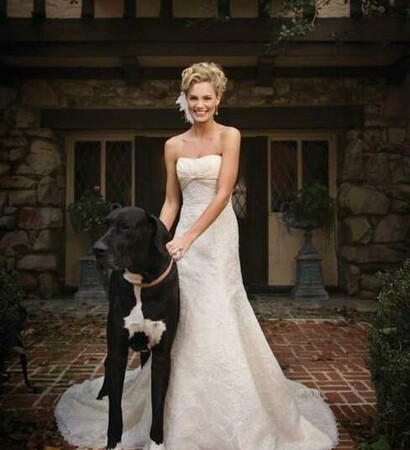 puppy, married and love