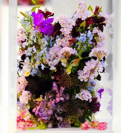 flowers, rock and cool