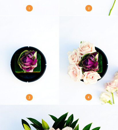 floral, decoration and rose