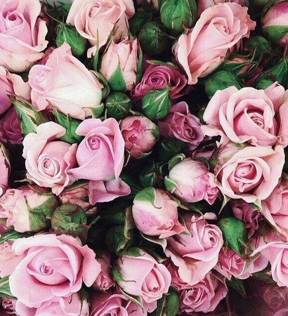 flowers, roses and romantic