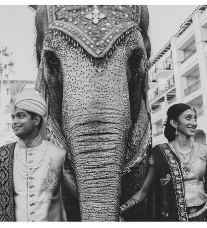 beautiful, love and groom