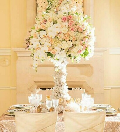 pretty, dinner and cute