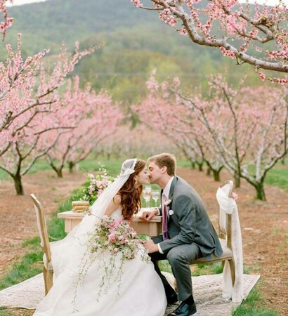 spring wedding photo, beautiful wedding photo and wedding couple