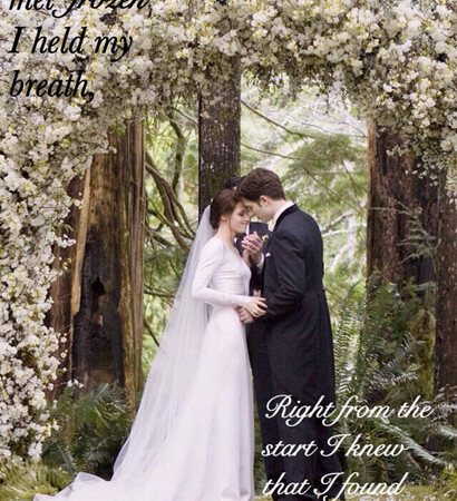 christina perri, lovestory and fandom