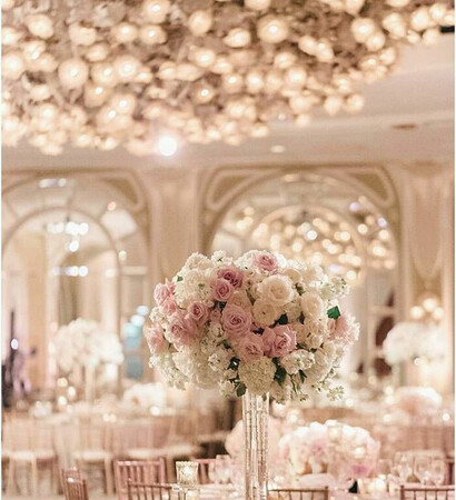 rose, amazing and follow