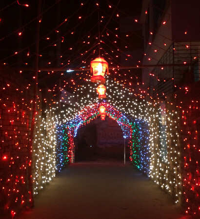bangladesh, special occasion and lights
