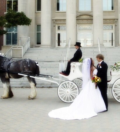 koets, paard and bride