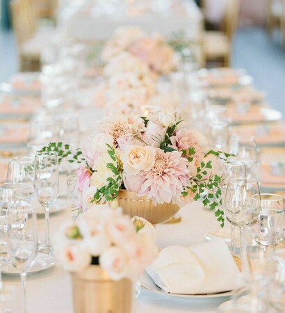 roses, beautiful and cute