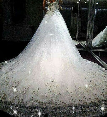 long train, sparkly gown and wedding dress
