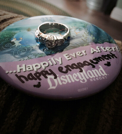 disney proposal, proposed and engaged