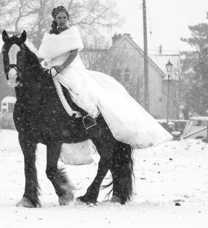 dress, perfect and horse