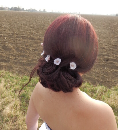 hairstyle, dress and bun
