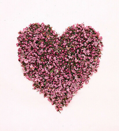 heart, love and romantic