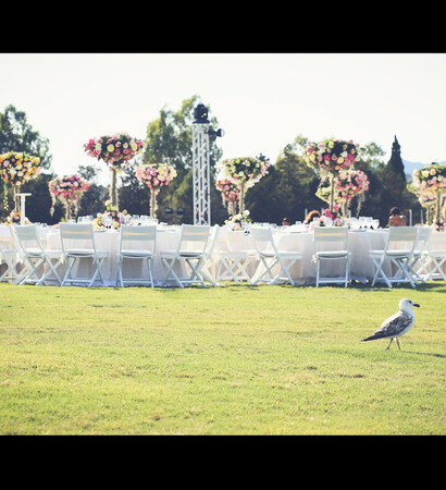 flowers, dream wedding decor and egypt