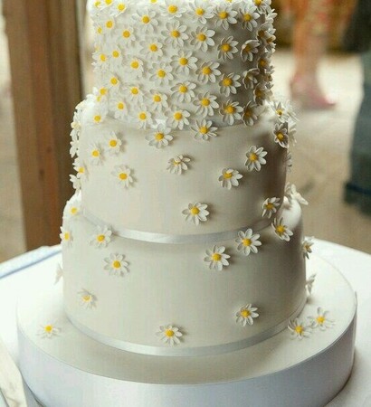 pretty, cake and food