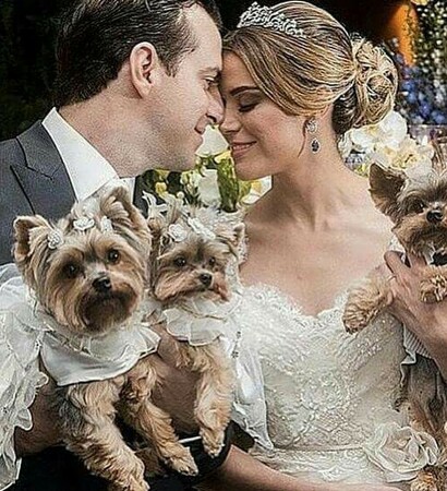 bride, love and lovely