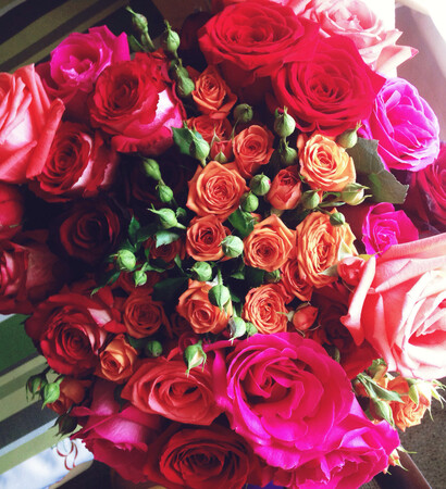 chic, pink and red