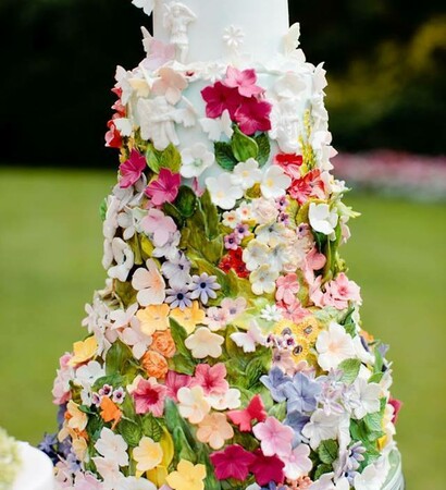 roses, colours and fairytale