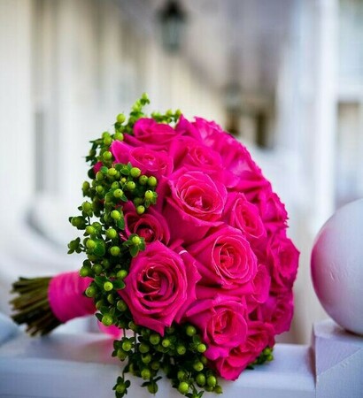 fushia, pink and roses
