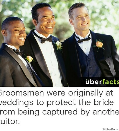 groom, protect and love