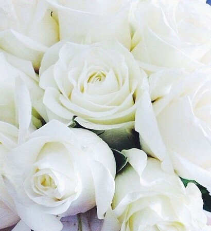 bouquets, purity and dreamy