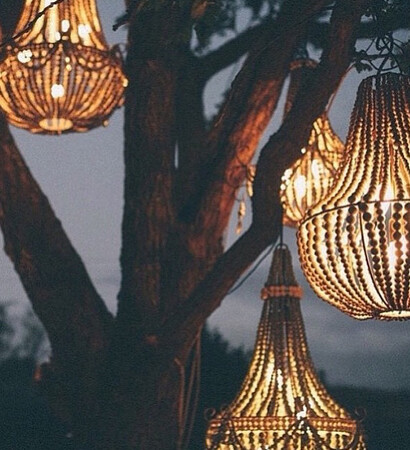 tree, chandelier and party