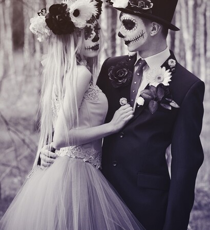 fashion, brilliant and photography