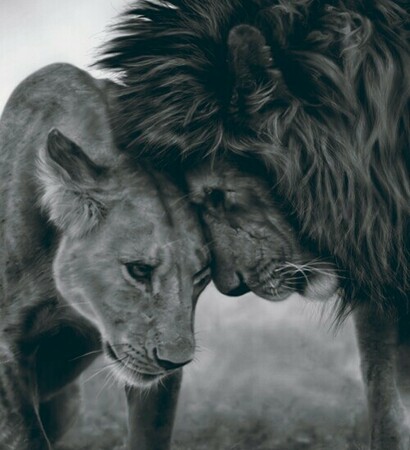 king, my date and fall in love