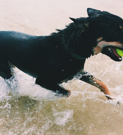 tumblr, roxy and winter