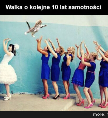 cat, bride and bridesmaid
