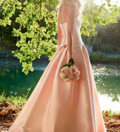 gown, peach and plane