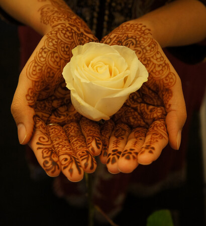 art, cute and rose