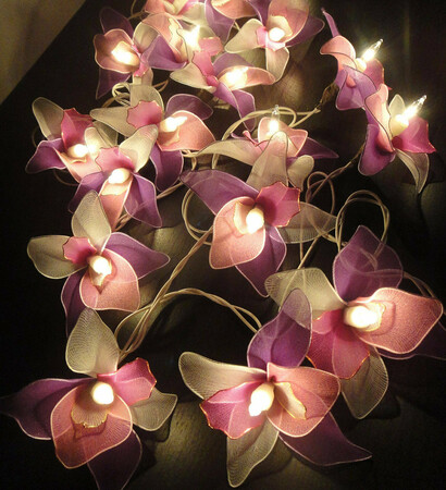 flower, orchid and lights
