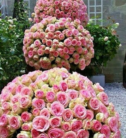 bouquet, huge and beautiful
