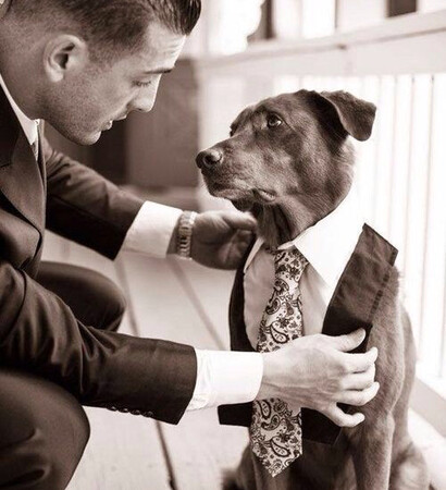 love, husband and animal